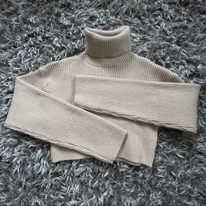 Cropped turtle neck
